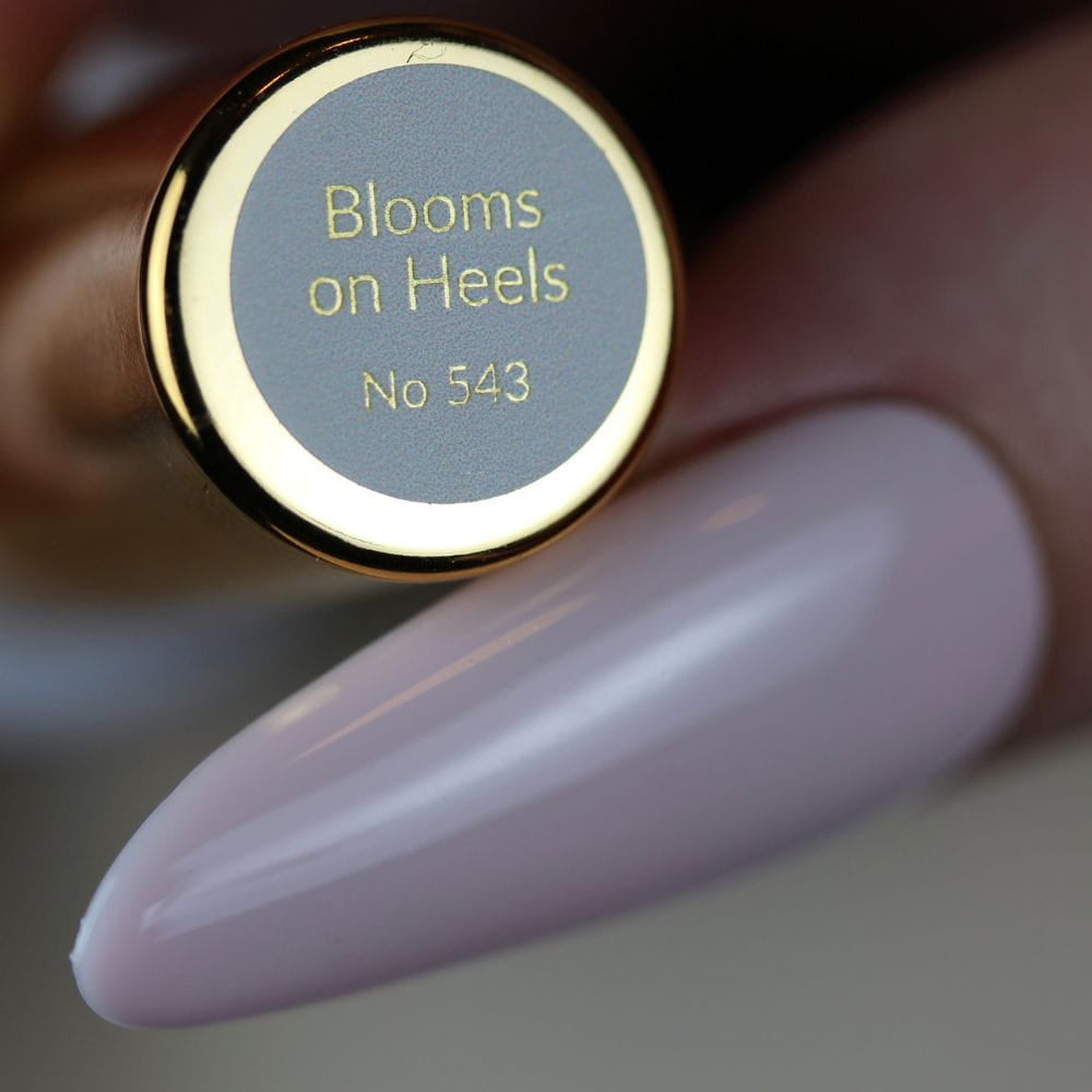 Blooms on Heels no 543 6 ml