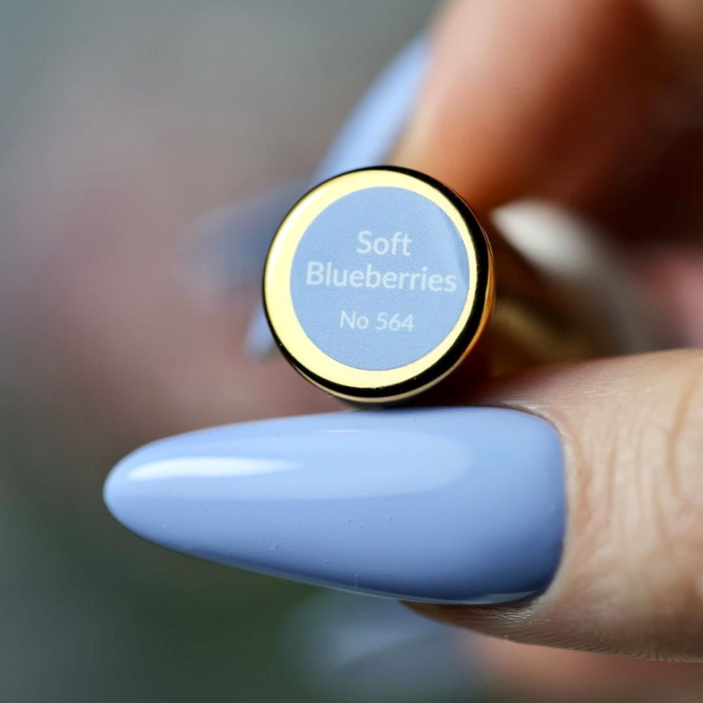 Soft Blueberries no 564 6 ml